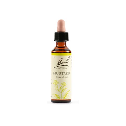 Fiori bach 10 mela classico gocce 10 ml Fiori bach 10 mela classico gocce 10 ml
