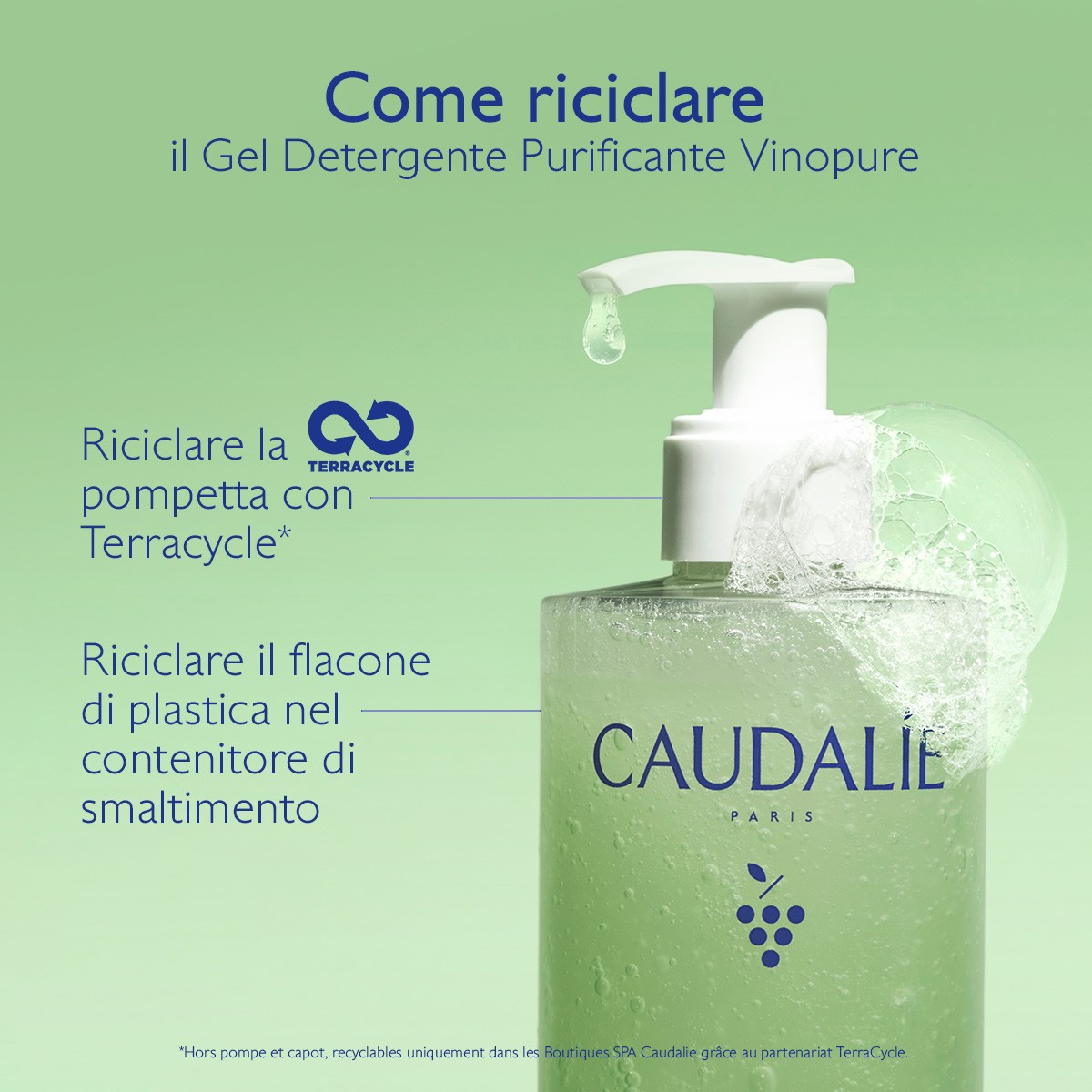 image - 950913602 - VINOPURE GEL DETERGENTE PURIFICANTE 385 ML - 4844543_11.jpg