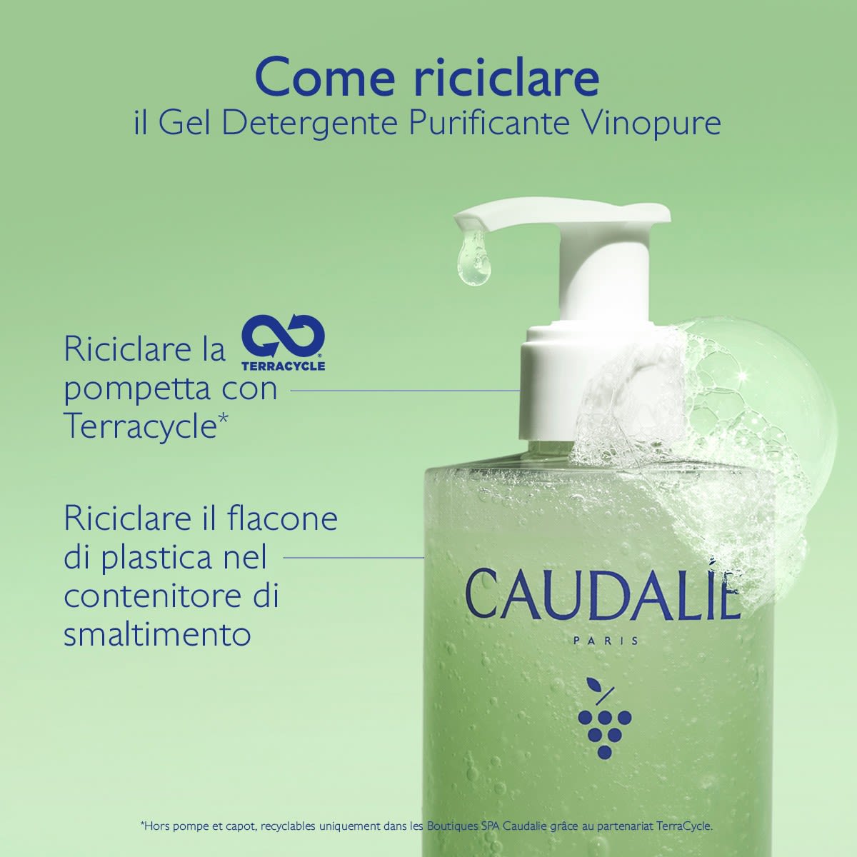 950913602 - VINOPURE GEL DETERGENTE PURIFICANTE 385 ML - 4844543_11.jpg