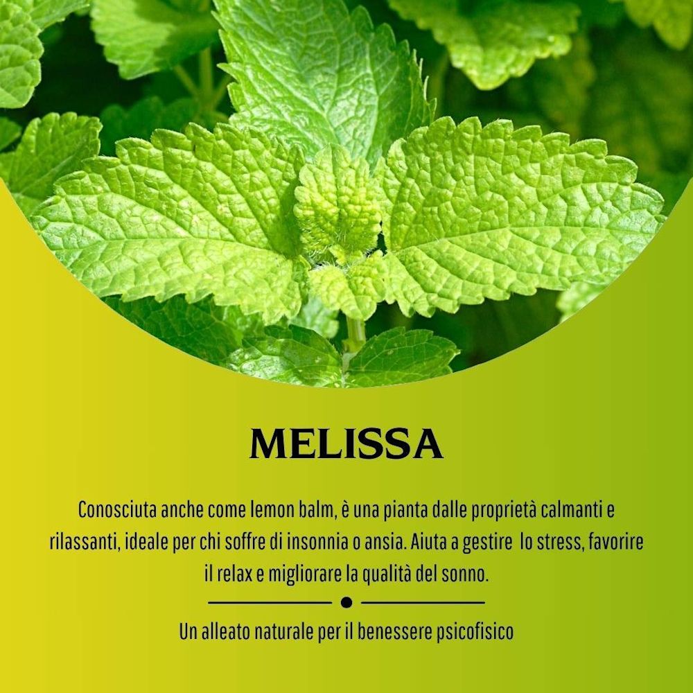 902193364 - MELISSA 100 CAPSULE 380MG - 4713524_5.jpg