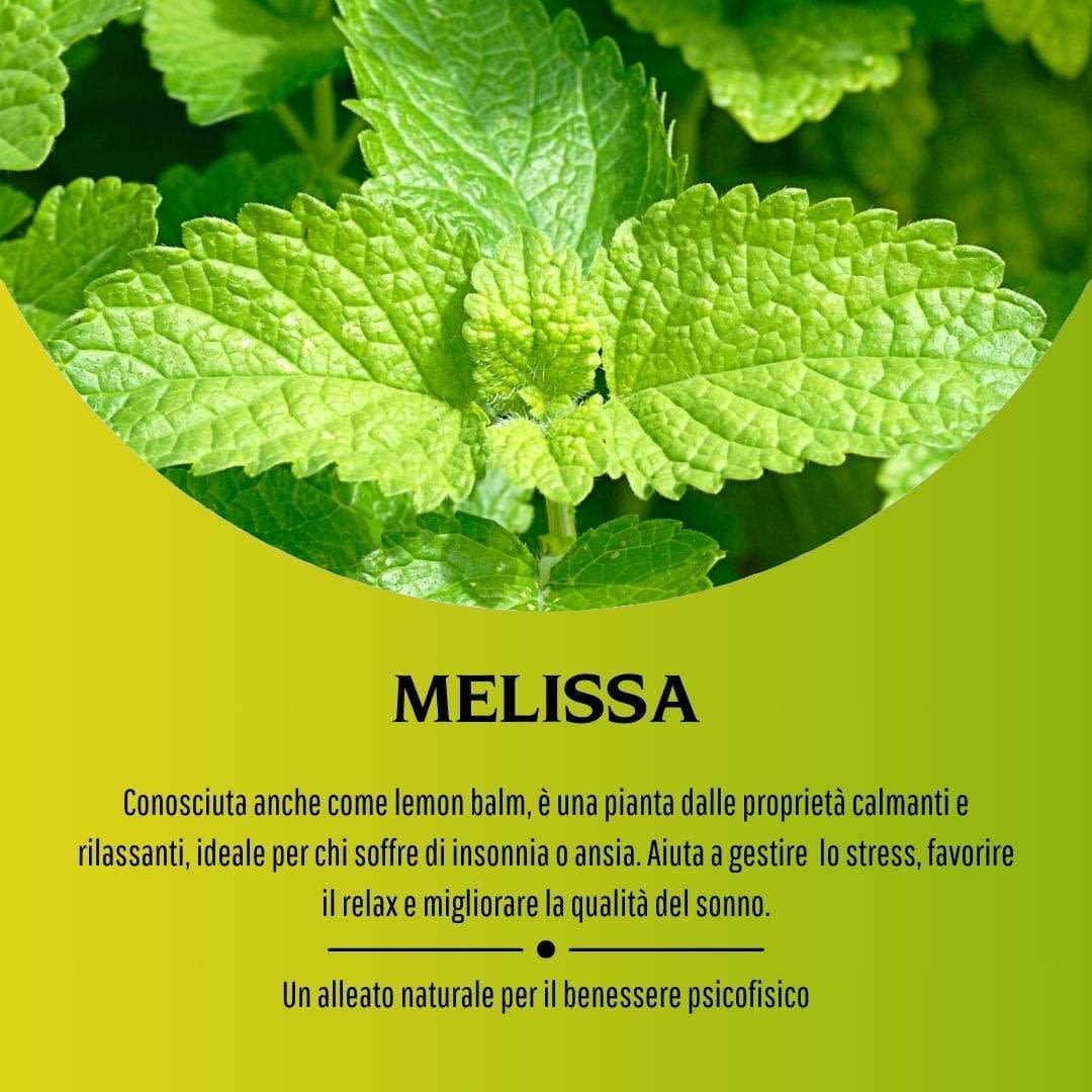 902193364 - MELISSA 100 CAPSULE 380MG - 4713524_5.jpg