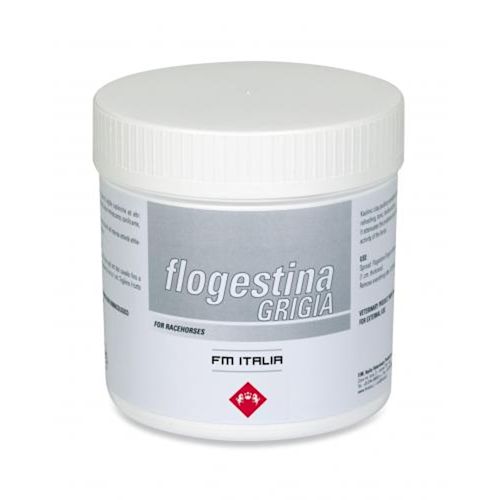 905327829 - FLOGESTINA GRIGIA PASTA 1 KG - 0006544_1.jpg
