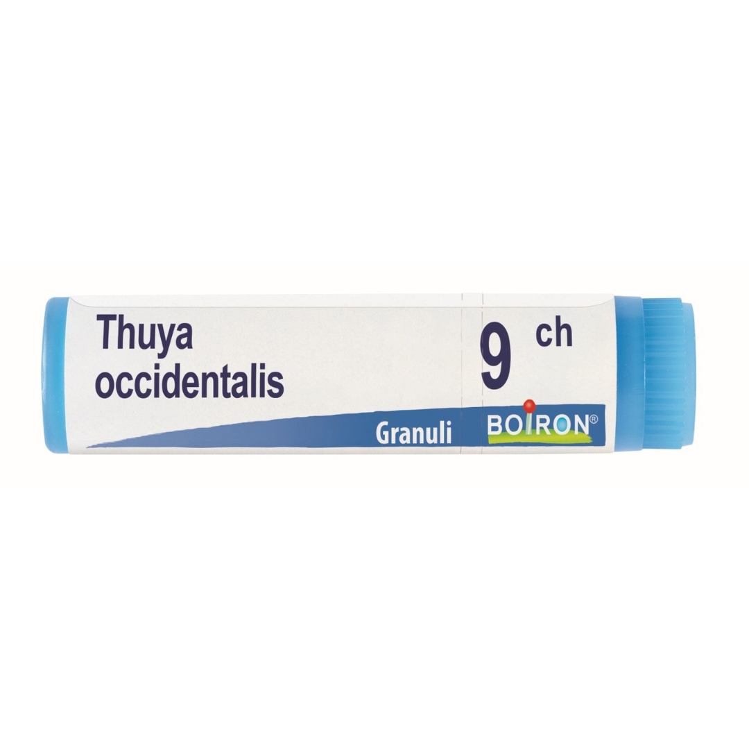image - 800027195 - THUYA OCCIDENTALIS 9 CH GLOBULI 1G - 7883233_3.jpg