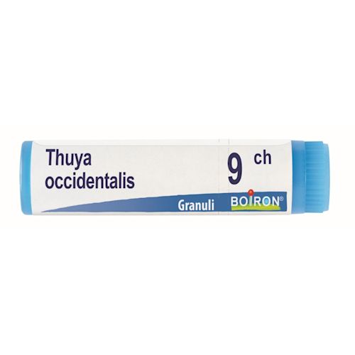 image - 800027195 - THUYA OCCIDENTALIS 9 CH GLOBULI 1G - 7883233_3.jpg