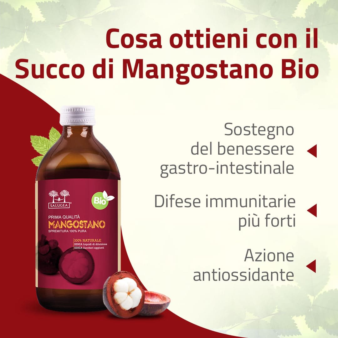 982000681 - SALUGEA SUCCO MANGOSTANO BIO 500 ML - 4738125_5.jpg