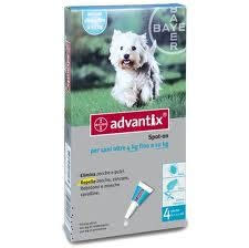 Youact Pet Entero Integratore per Intestino per Cani e Gatti 30 Bustine