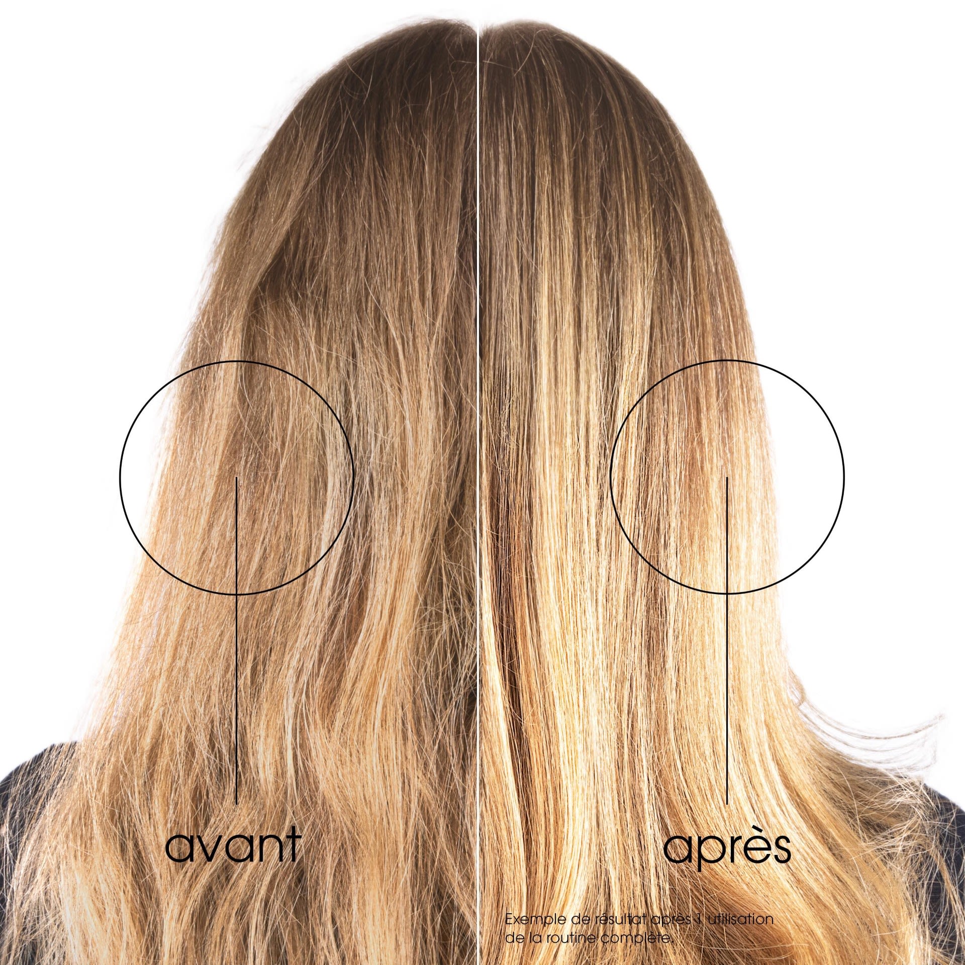 987964691 - KLORANE SHAMPOO FICO D'INDIA 400 ML - 4779106_5.jpg