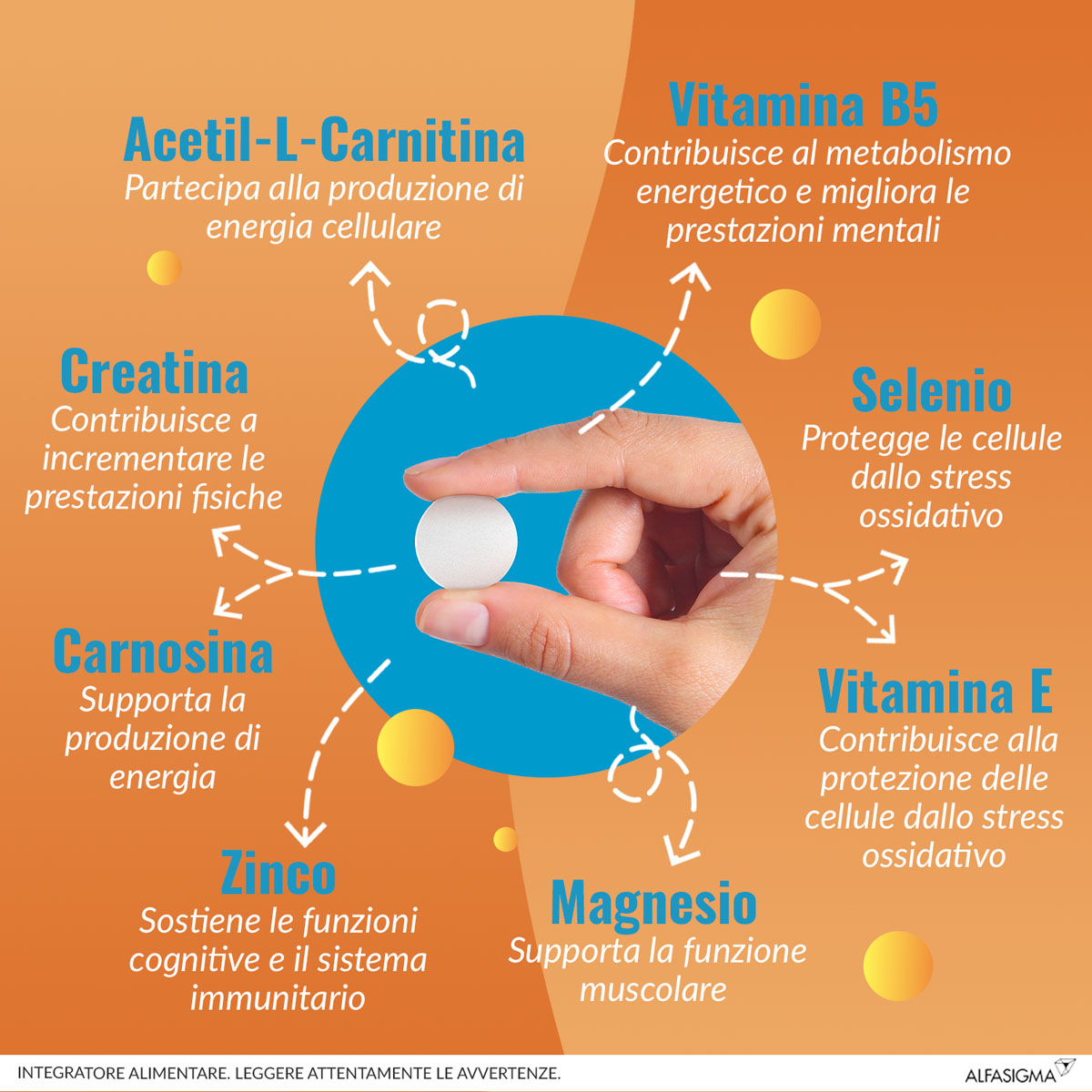980763751 - CARNIDYN PLUS 18 COMPRESSE MASTICABILI - 4707027_9.jpg