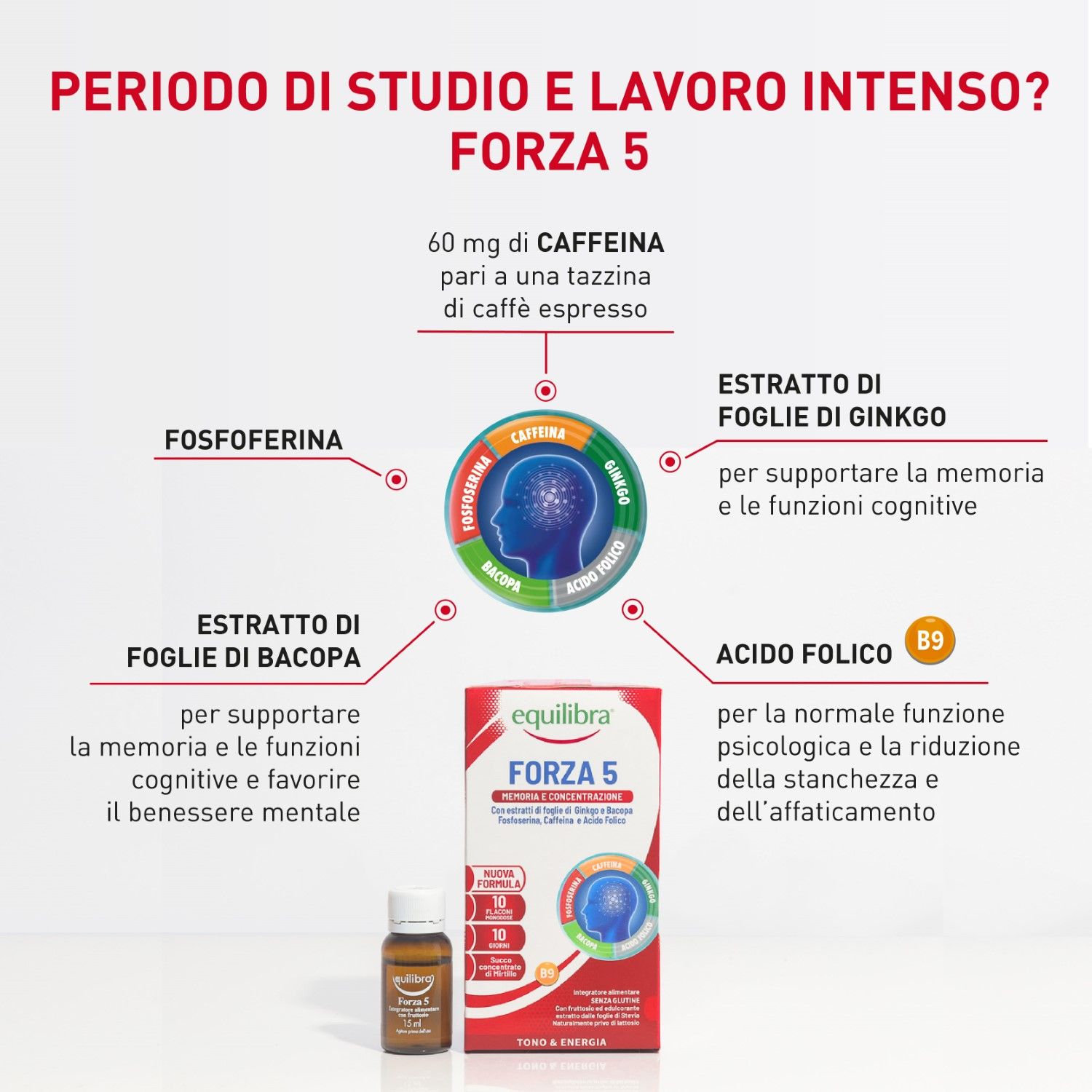 983842307 - Equilibra Forza 5 Integratore memoria 10 flaconcini - 4740401_3.jpg