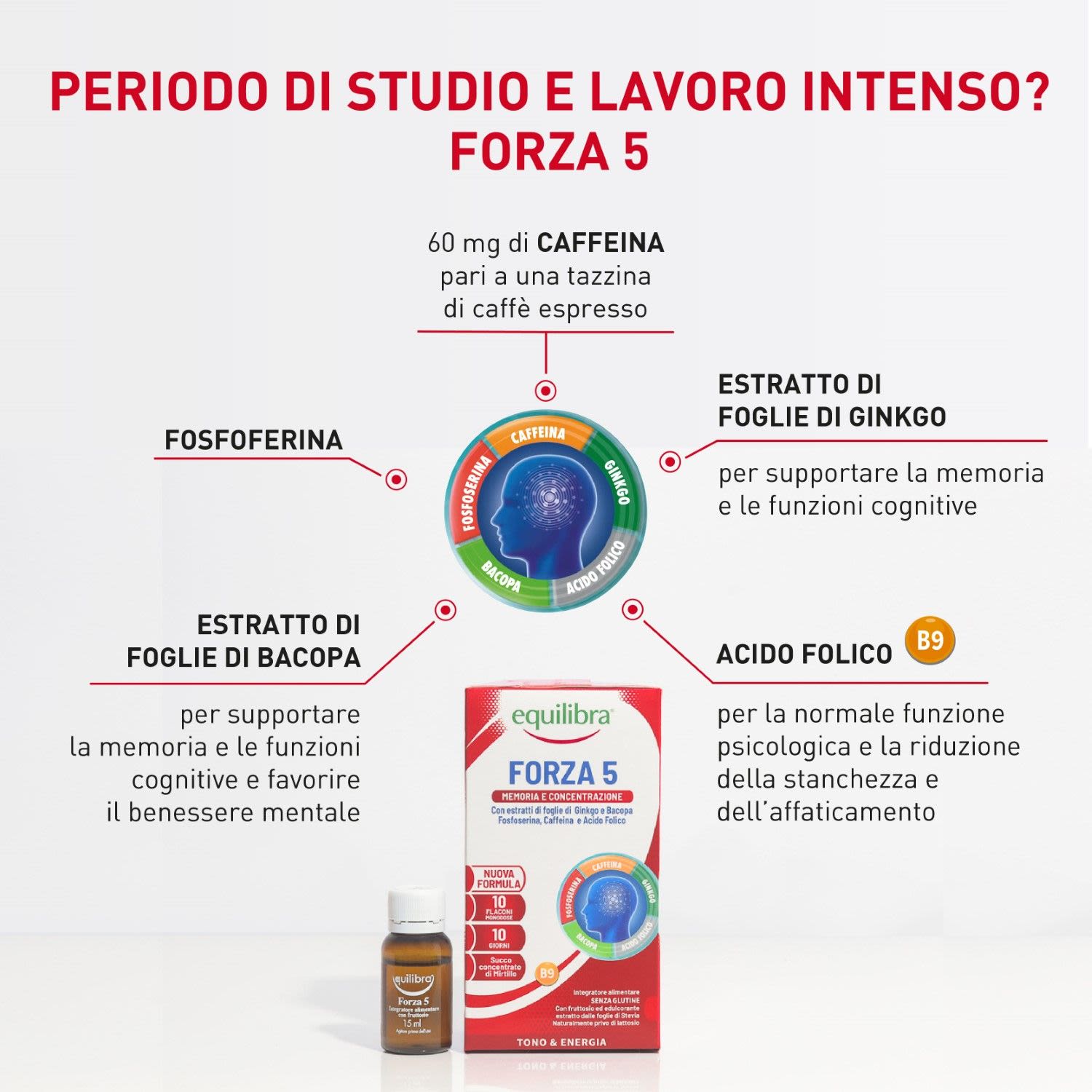 983842307 - Equilibra Forza 5 Integratore memoria 10 flaconcini - 4740401_3.jpg