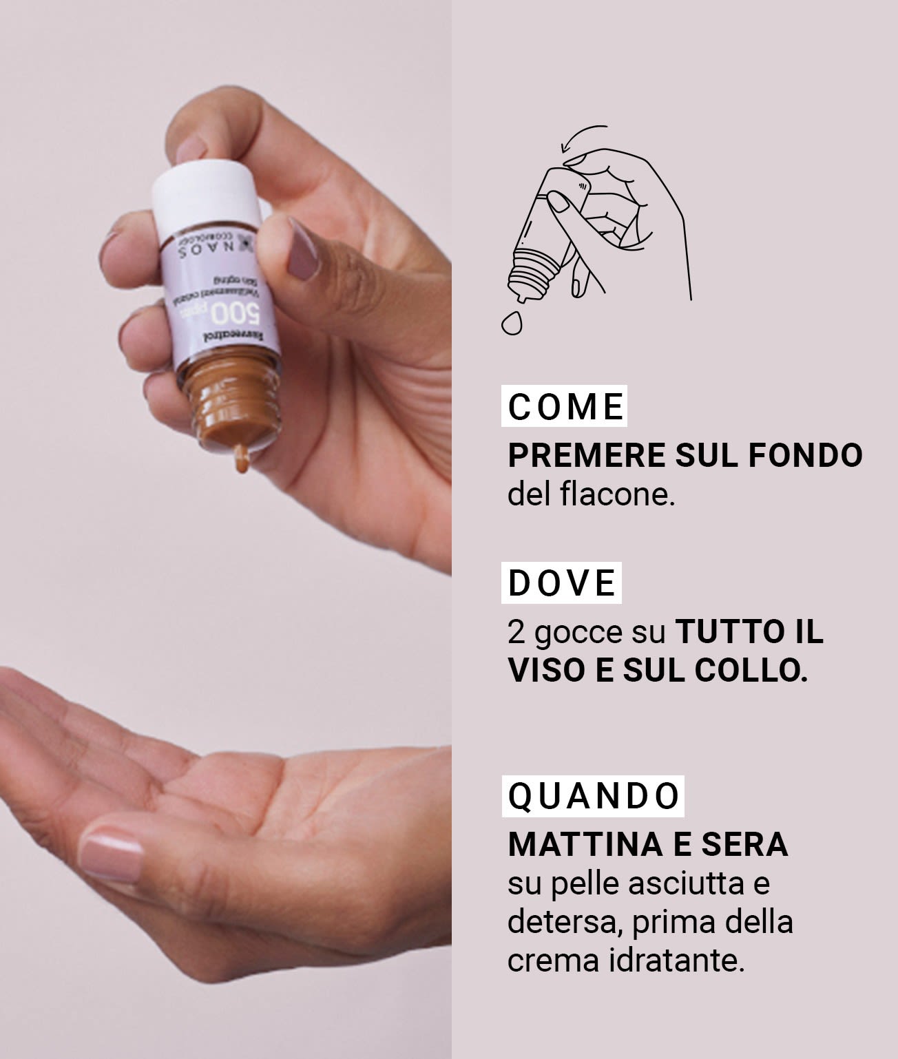 987479033 - ETAT PUR RESVERATROL 1,5% 15 ML - 4745420_4.jpg