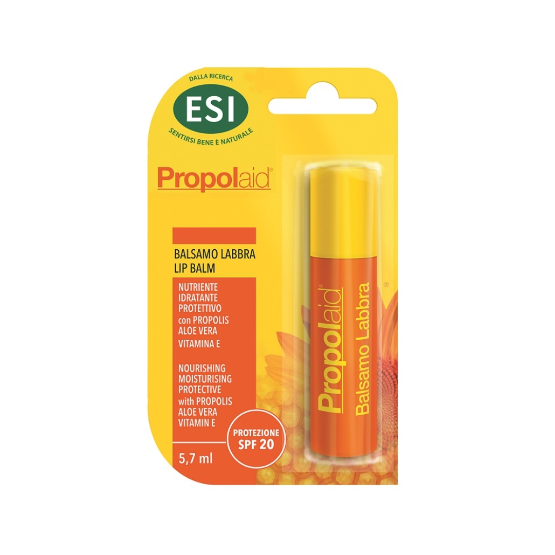 image - 951604887 -  - 4860249_2.jpg