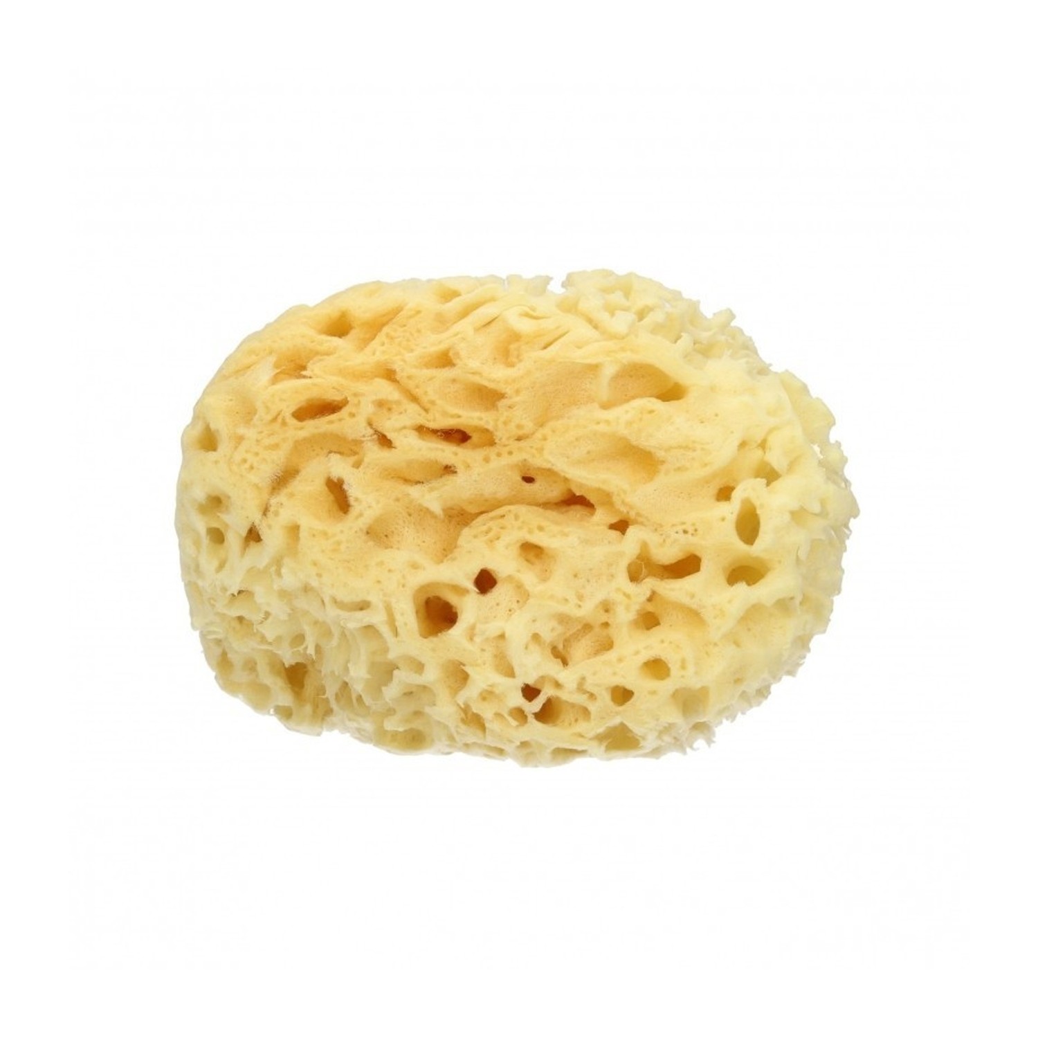 image - 909429262 - Spugna naturale di mare di dimensioni grandi, ideale per la pulizia e l'igiene del corpo durante il bagno o la doccia. - 4866618_2.jpg