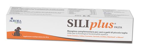 982932206 - SILIPLUS PASTA 30 G - 0005428_1.jpg