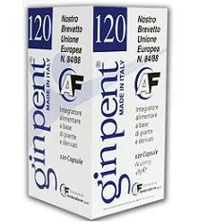 911953444 - GINPENT 120 CAPSULE 400 MG - 4716830_2.jpg