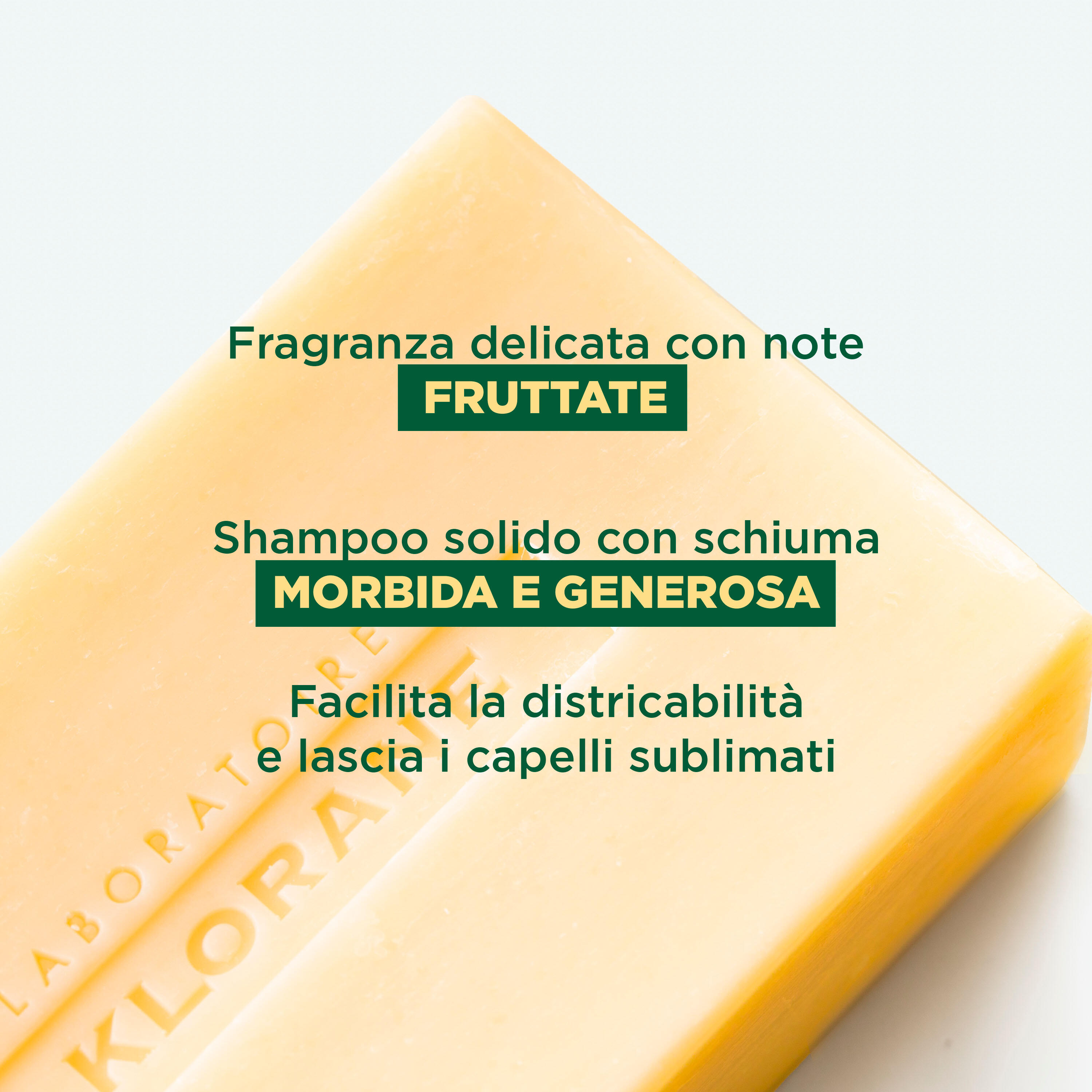 image - 982007977 - descrizione  shampoo solido al mango (mangifera indica l.). la sua - 4708585_4.jpg