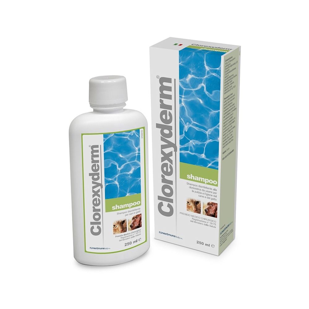 900533757 - CLOREXYDERM SHAMPOO 250 ML - 7883970_1.jpg