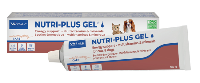 Virbac Nutriplus Gel Pasta Orale 120g