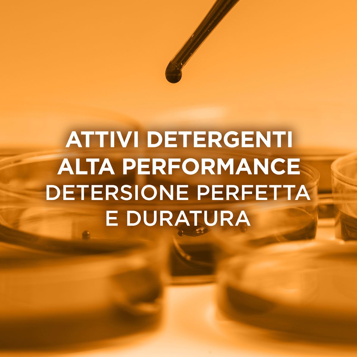 982773018 - Elvive Piu Di Uno Shampoo Olio Straordinario capelli secchi 200ml - 4739012_4.jpg