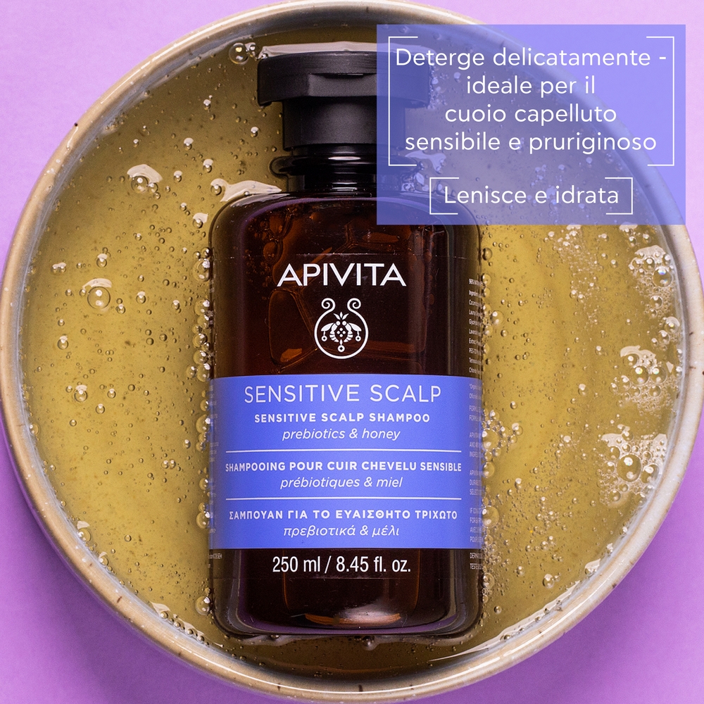 image - 972758890 -  - 4729951_2.jpg