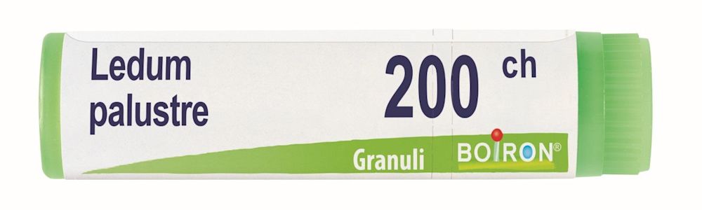 800026371 - Boiron Ledum Palustre 200ch Globuli - 7886112_1.jpg