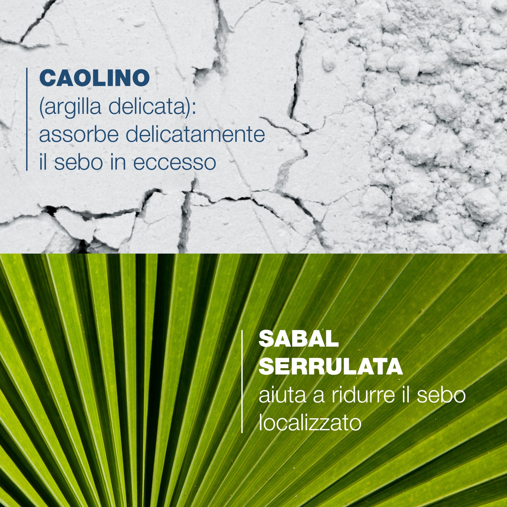 987876087 - SABAL SHAMPOO QUOTIDIANO 200 ML - 4836516_8.jpg