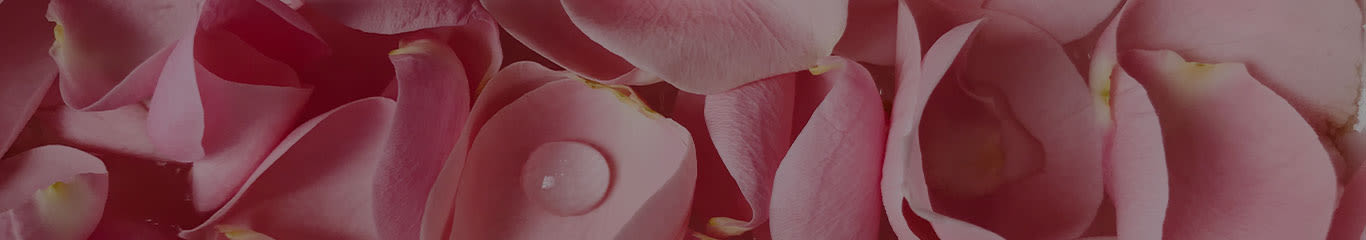 Magazine | Acqua di rose benefici per pelle e capelli