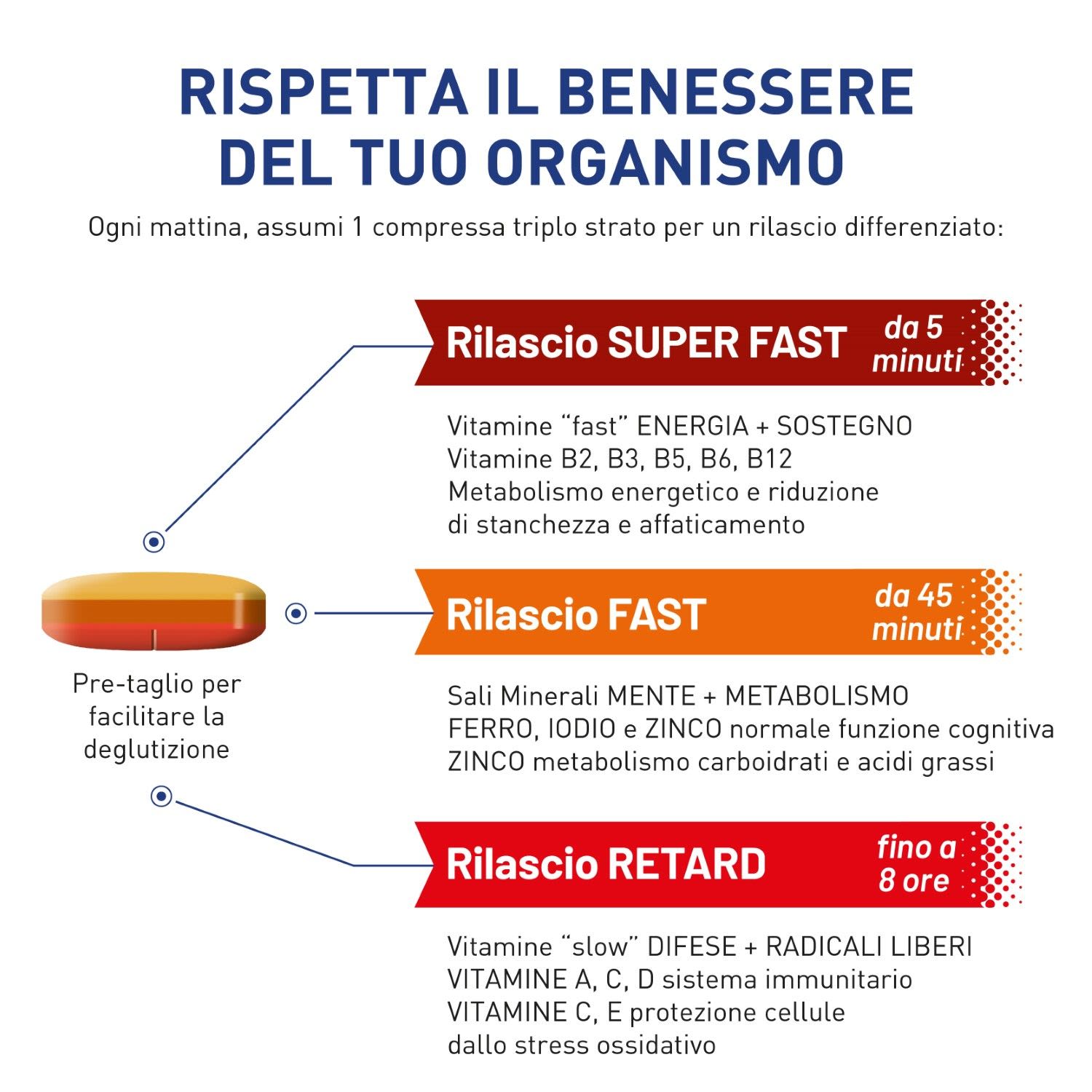 image - 980519007 - Equilibra Multivitamine e Minerali 30 compresse triplo strato - 4736537_5.jpg