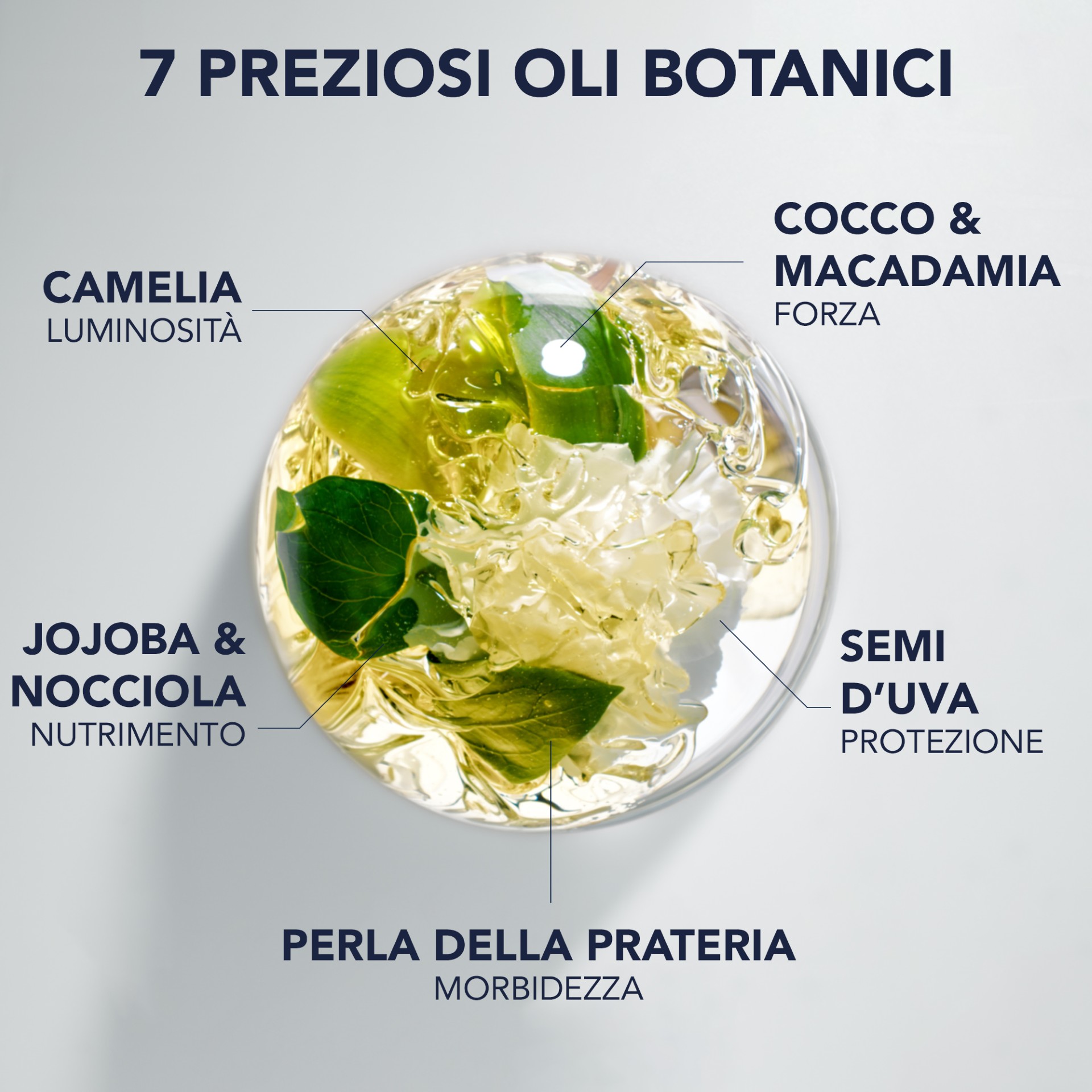 image - 951122961 - PHYTO ELIXIR OLIO SUBLIMANTE UNIVERSALE 100 ML - 4843631_3.jpg