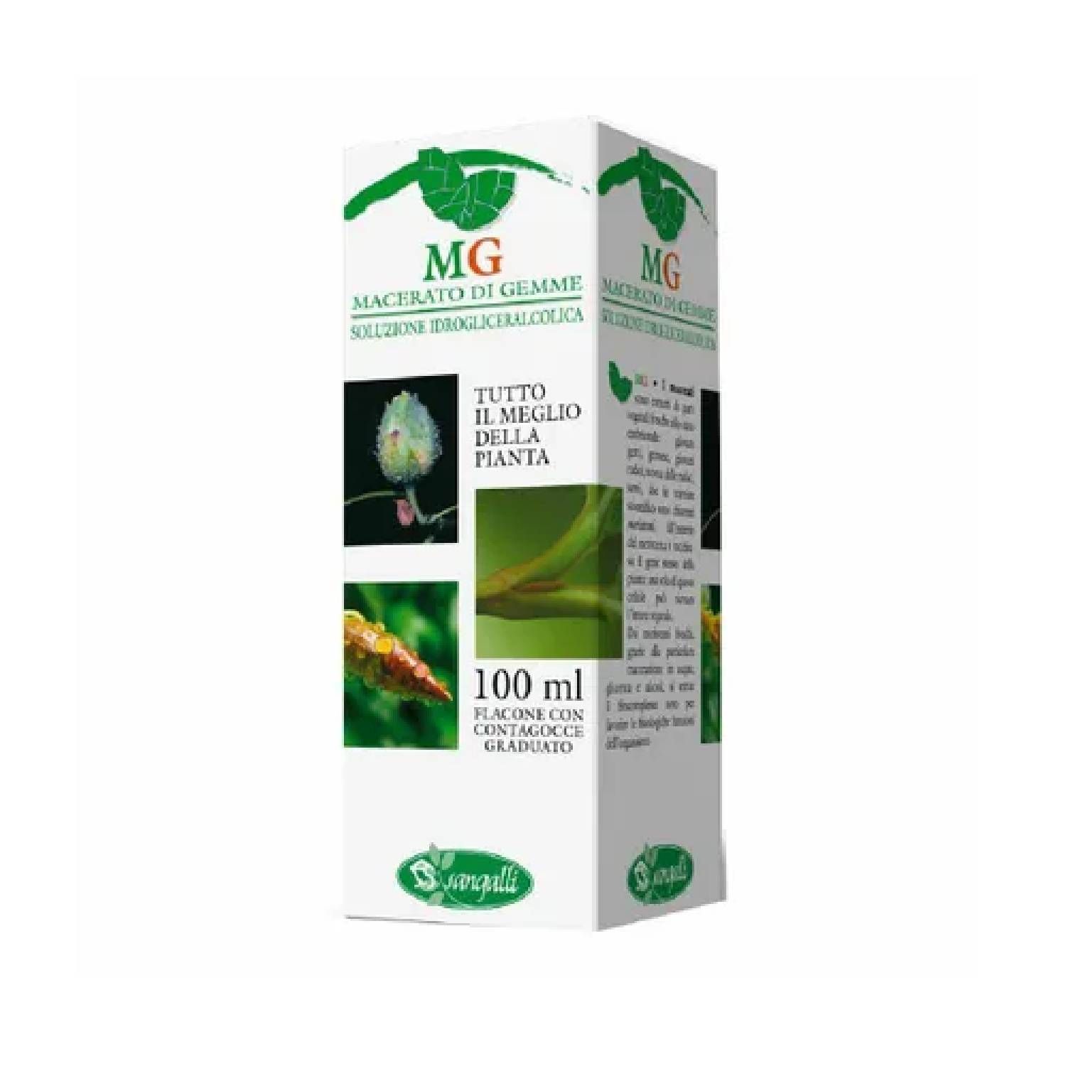 Betula Pubescens Macerato Glicerico 100ml