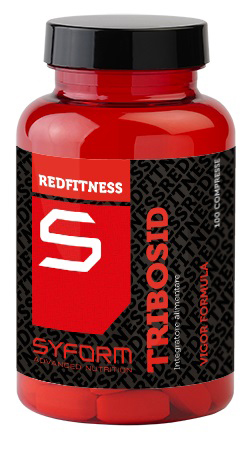 image - 931124960 - Integratore in compresse con estratti vegetali di Tribulus, suma, fieno greco e gynostemma, utile per il benessere generale e l'energia quotidiana. - 4867553_1.jpg