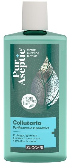 Puraseptic Collutorio Purificante E Riparativo 250ml