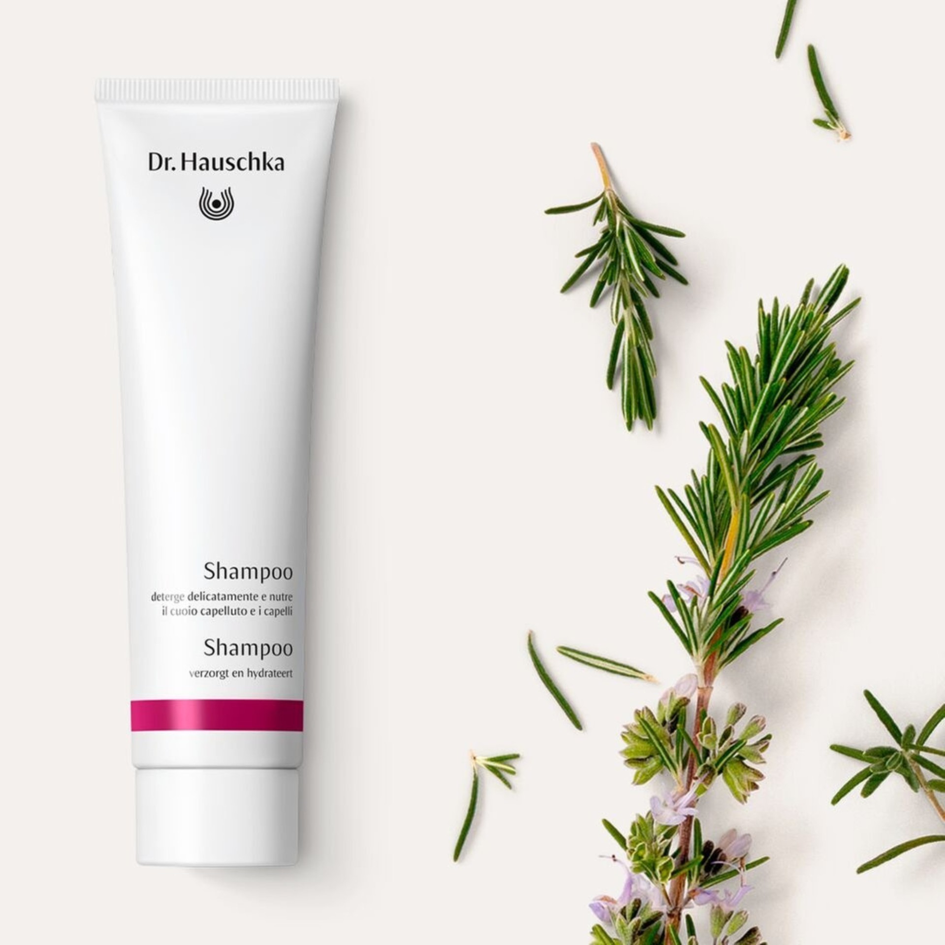 image - 980640484 - DR HAUSCHKA SHAMPOO 150 ML - 4736726_4.jpg