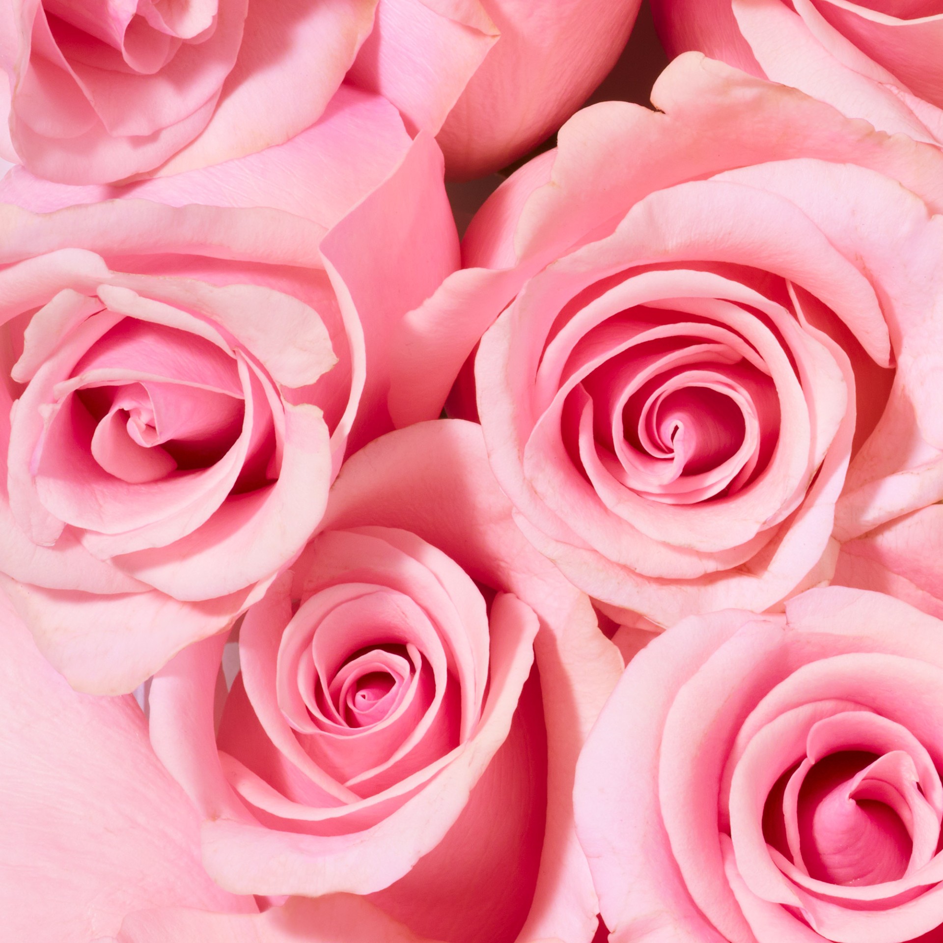 987408426 - NUXE VROSE GEL DOCCIA 750 ML - 4745177_4.jpg