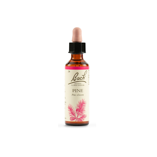 942859950 - PINE BACH ORIG 20 ML - 4705233_1.png