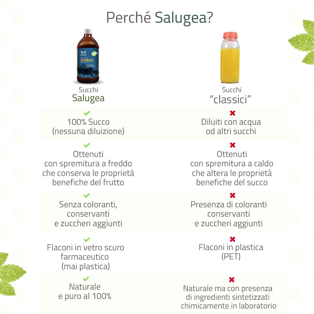 982000743 - SALUGEA SUCCO SAMBUCO BIO 500 ML - 4738130_8.jpg