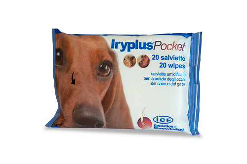 980135964 - IRYPLUS POCKET SALVIETTINE 20 PEZZI - 0005520_1.png