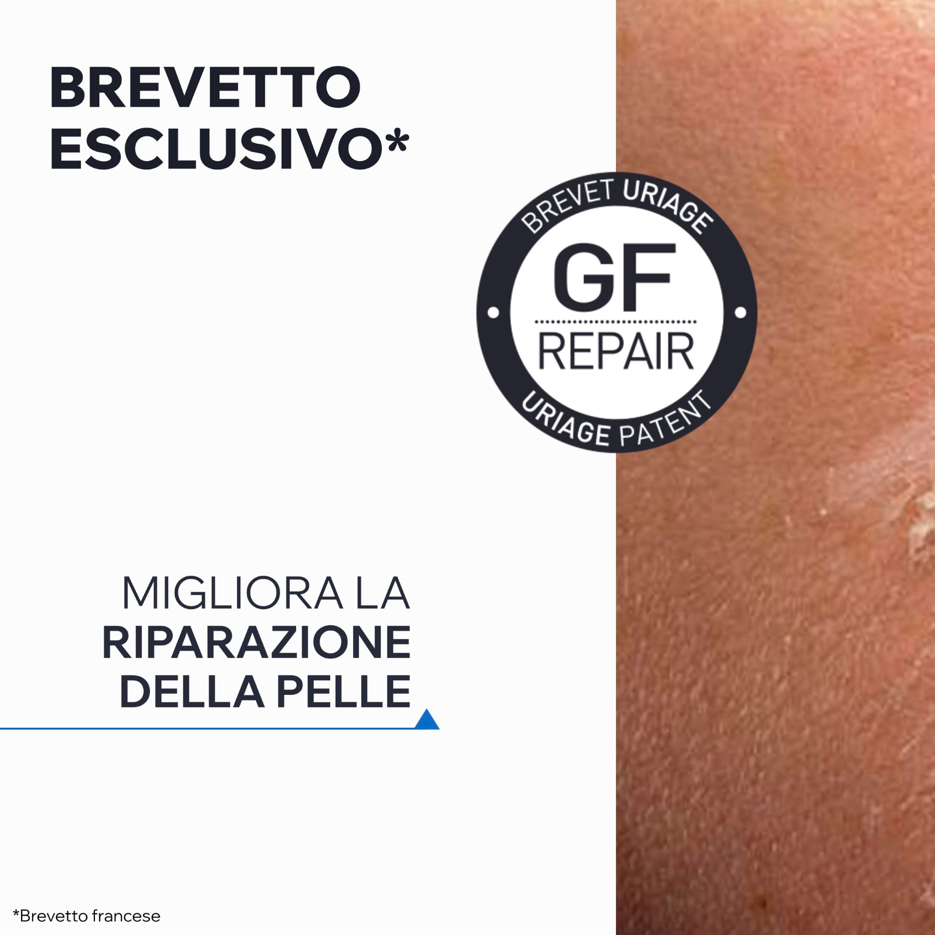 image - 980490635 -  - 4736429_10.jpg