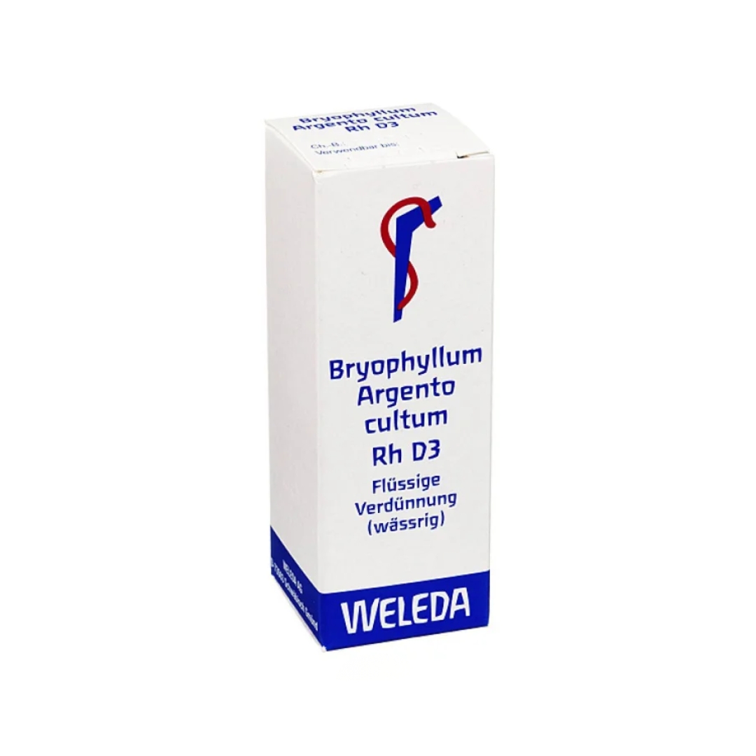 image - 800132641 - WELEDA BRYOPHYLLUM ARGENTO CULTUM D3 RH 20 ML - 4864753_1.jpg
