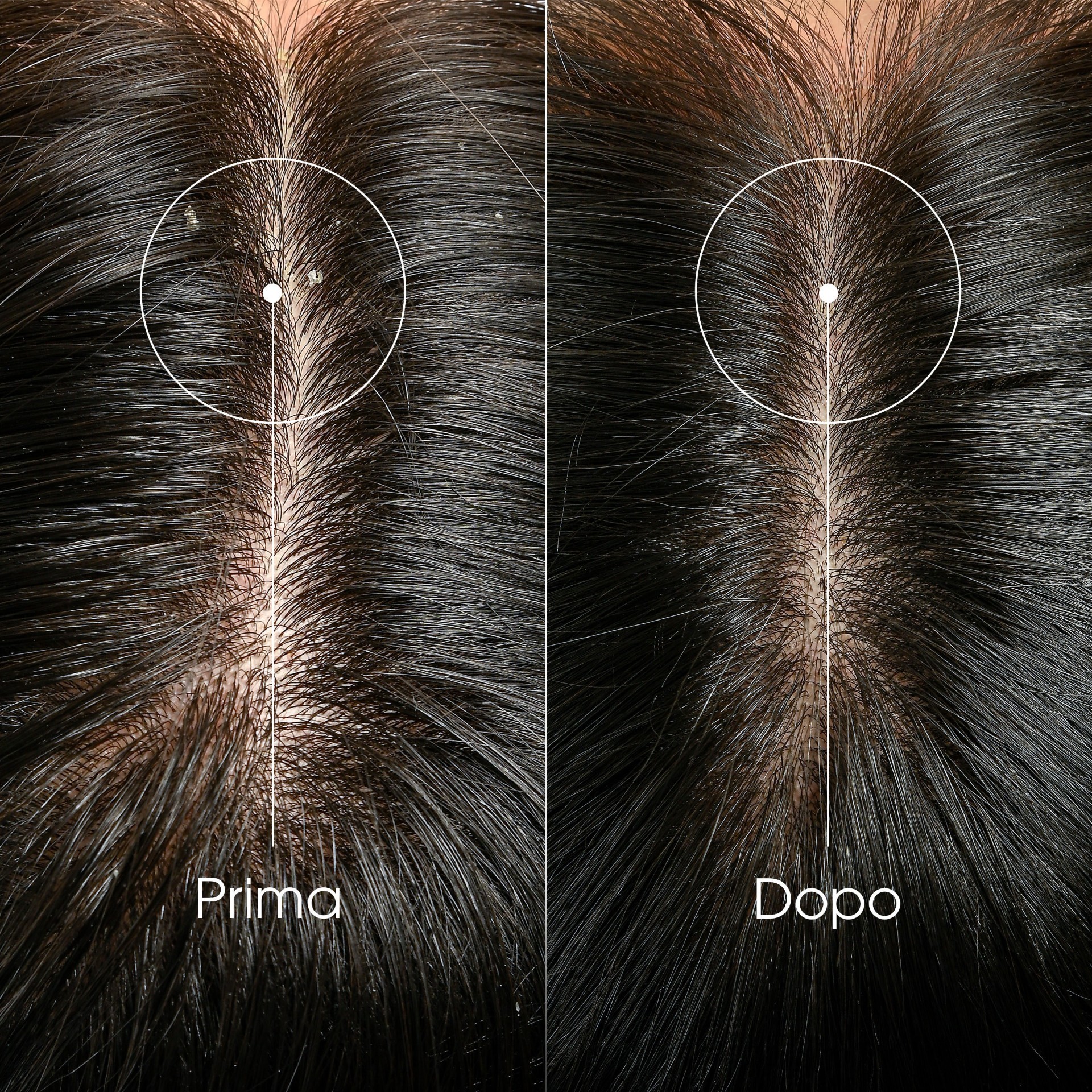 image - 951124890 -  - 4842965_6.jpg