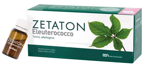image - 943728220 - Integratore tonico con eleuterococco, miele e pappa reale, utile per supportare le naturali difese dell'organismo e fornire energia. - 4868418_1.jpg