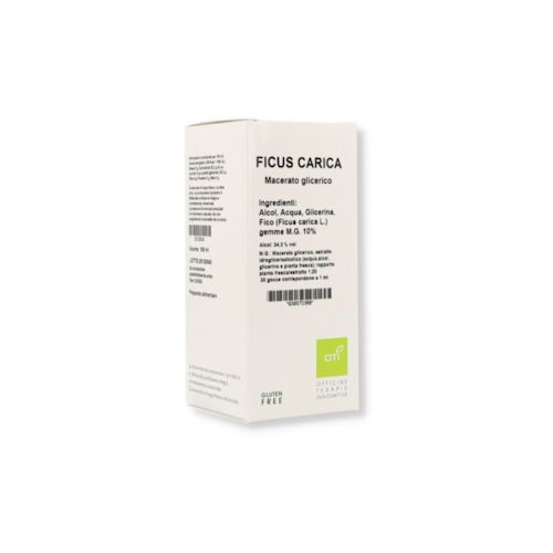 image - 939570368 - FICUS CARICA MACERATO GLICERICO 10% GOCCE 100ML - 4865125_2.jpg