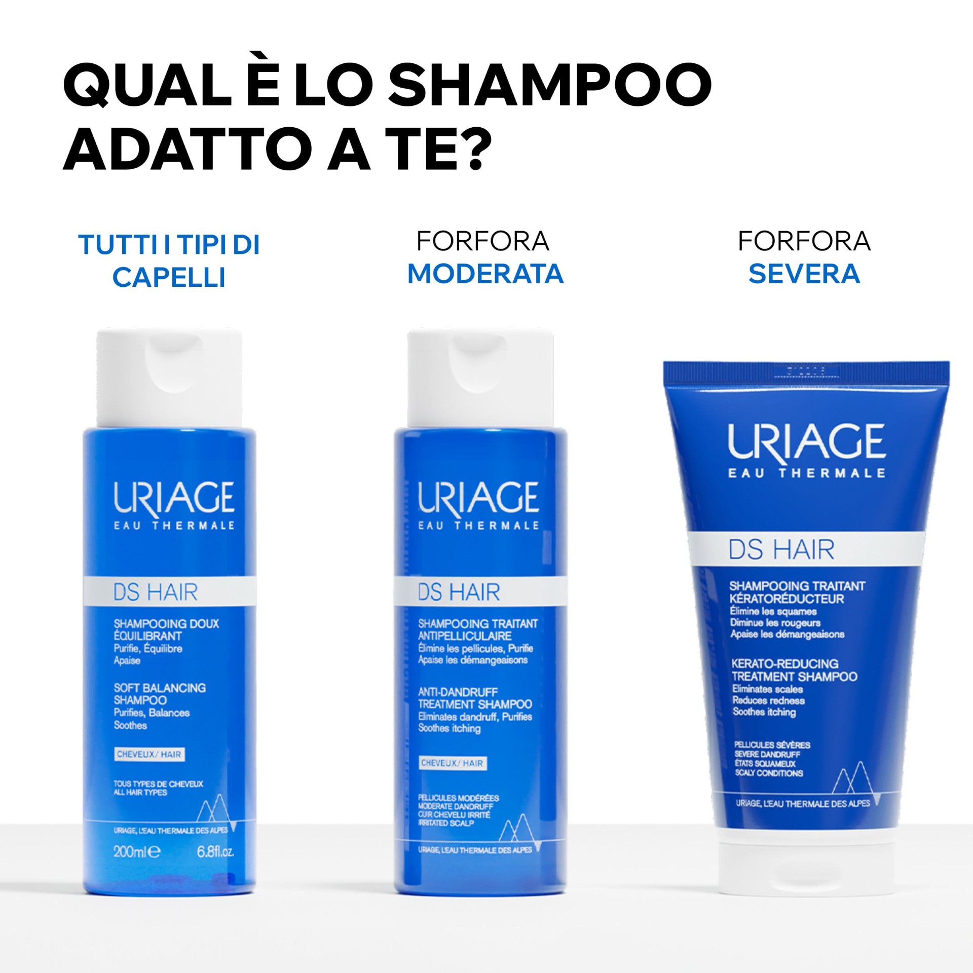 image - 984837599 -  - 4741411_12.jpg