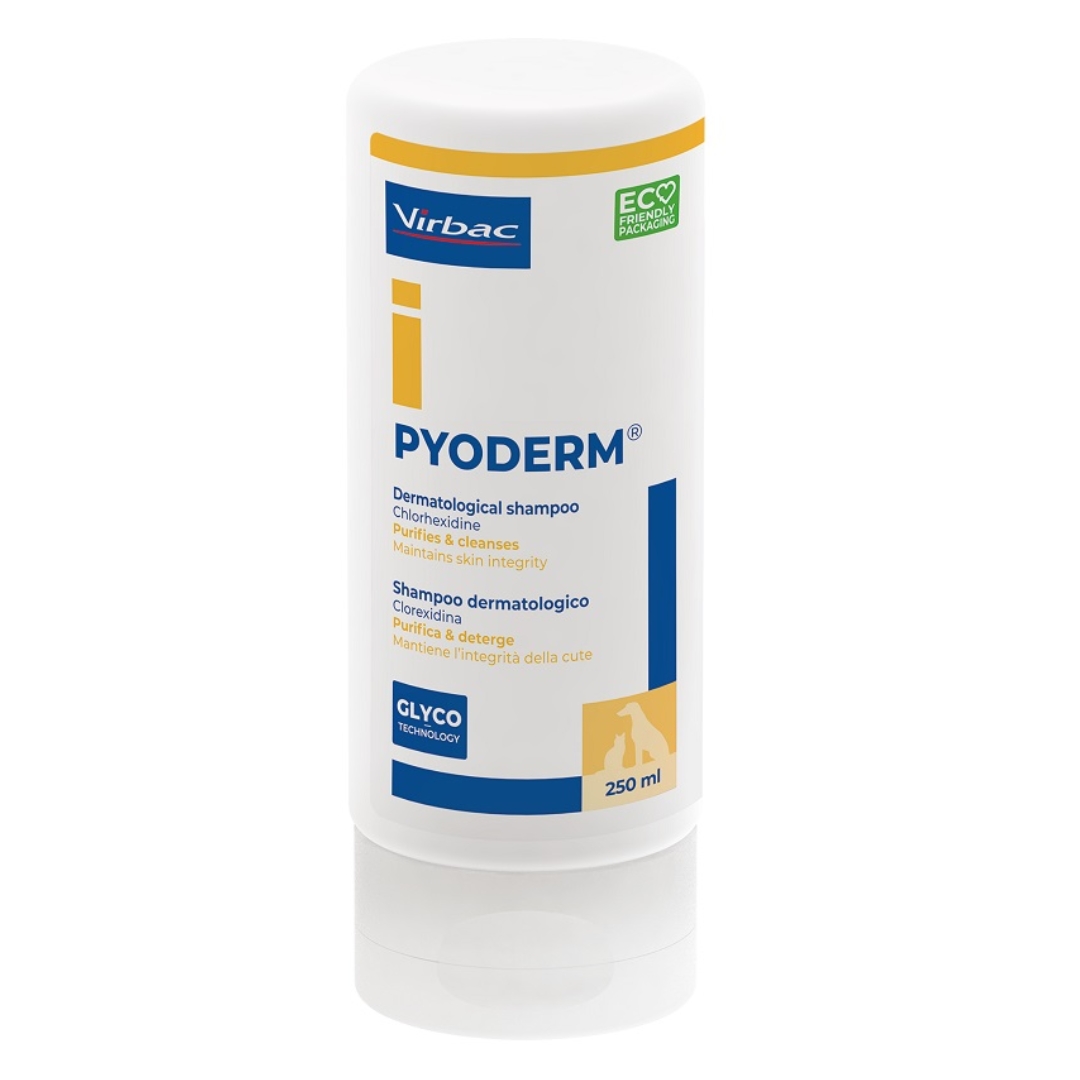 988011920 - PYODERM SHAMPOO 250 ML - 0006899_2.jpg