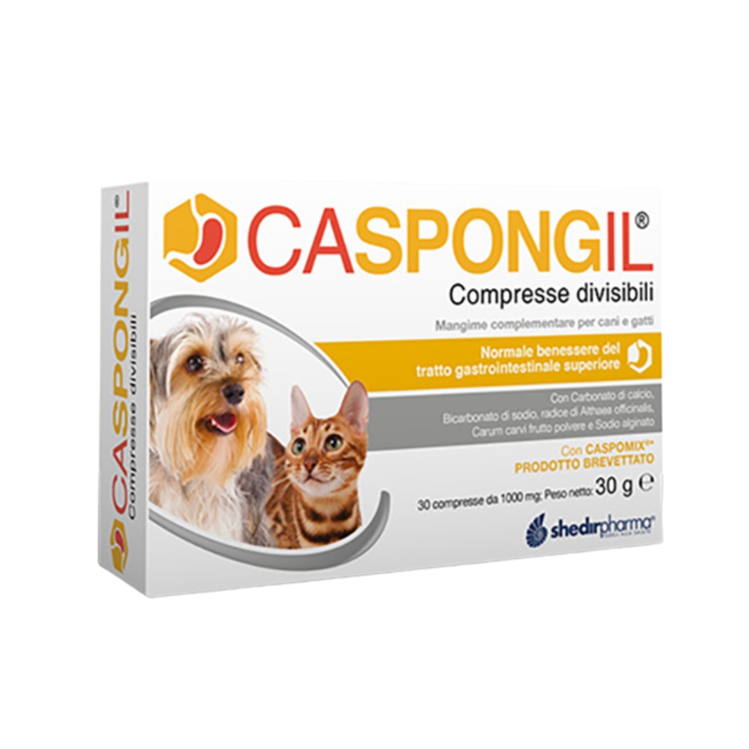 943809653 - CASPONGIL 30 COMPRESSE DIVISIBILI - 0005234_2.jpg