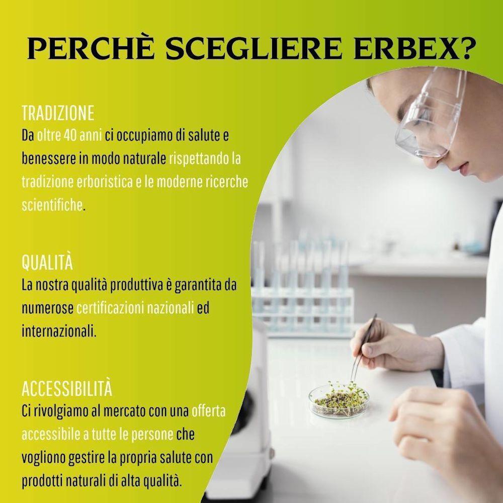 902193212 - GINKGO BILOBA 100 CAPSULE 380 MG - 4713519_12.jpg