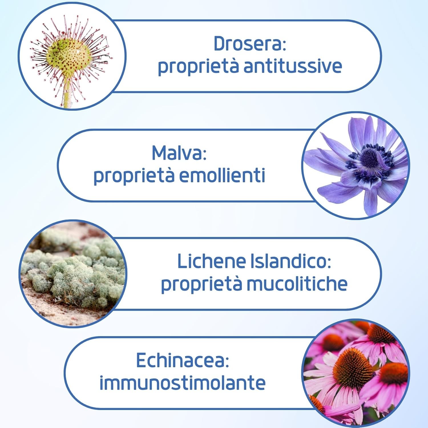 950039495 - SELATUSS 150 ML - 4812855_2.jpg