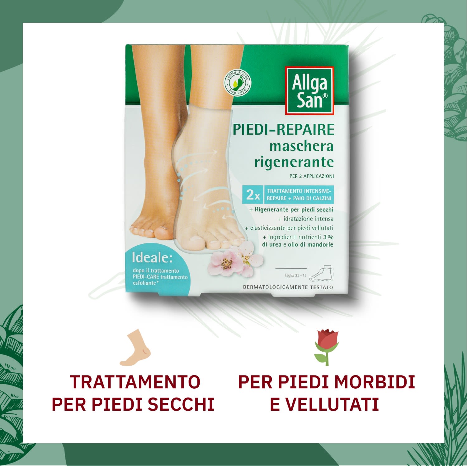 image - 981500212 - - 4737763_2.jpg