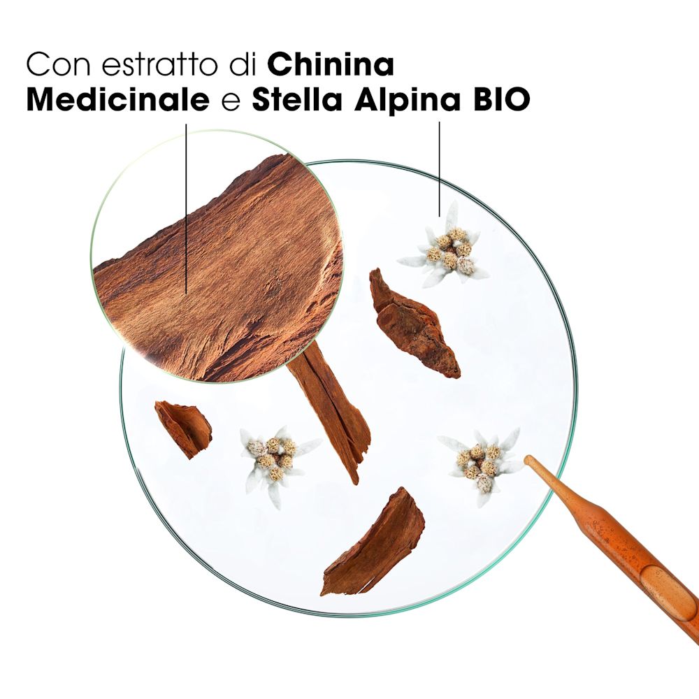 image - 981971070 - KLORANE SHAMPOO CHININA-STELLA ALPINA BIO 400 ML - 4707963_9.jpg