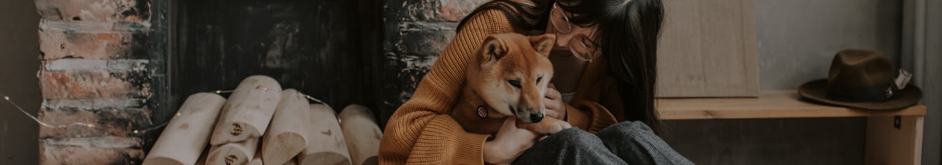 image - Advantix cane: a cosa serve, cosa copre e come usarlo